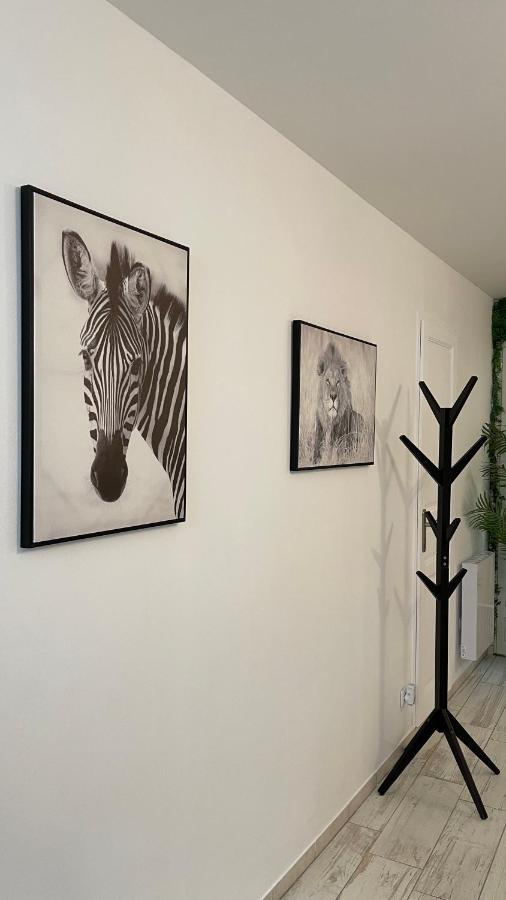 Tous'O'Zoo, Au Coeur Du Centre-Ville Сен-Анян Екстериор снимка