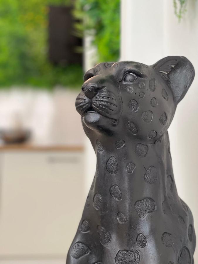 Tous'O'Zoo, Au Coeur Du Centre-Ville Сен-Анян Екстериор снимка