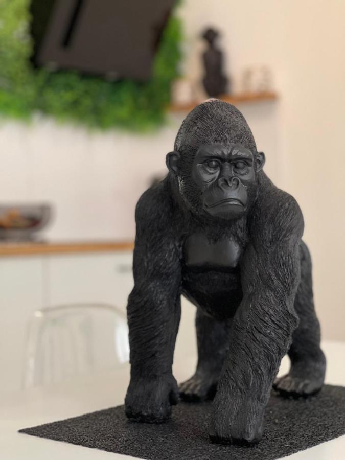 Tous'O'Zoo, Au Coeur Du Centre-Ville Сен-Анян Екстериор снимка