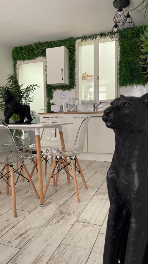Tous'O'Zoo, Au Coeur Du Centre-Ville Сен-Анян Екстериор снимка